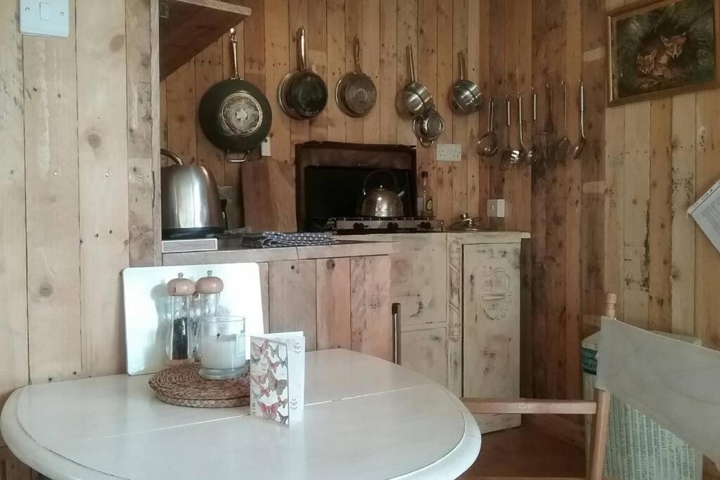 Foxesden, Unique Eco Cabin, Dartmoor Views South Brent Kültér fotó